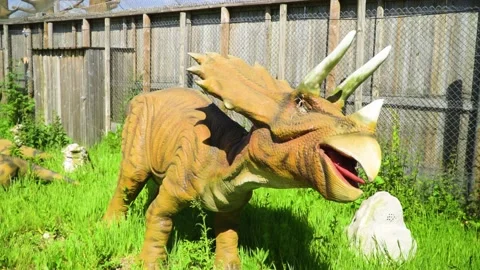 Ancient dinosaur with horns moving his head left to right standing in Stock Footage 223321426