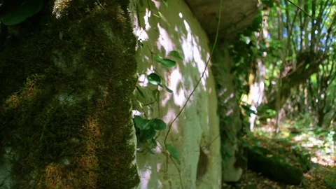 Ancient Dolmen close up Stock-Footage 88151406