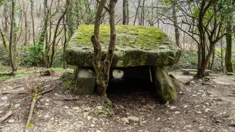 Ancient dolmen covered with moss in the forest Stock Footage 149345371