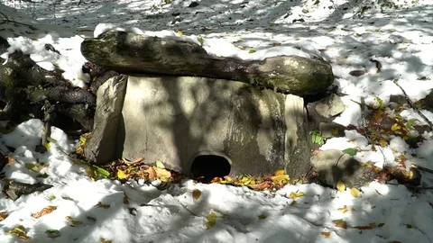 Ancient dolmens in the forest Vidéo 82129619