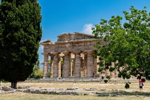 Ancient Doric temple behind trees with tourists visible Stock Photos
