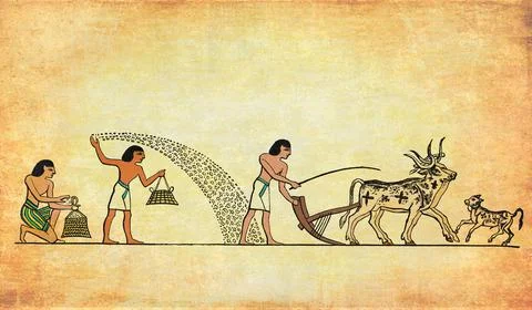 Ancient Egypt agricultural work Stock Illustration