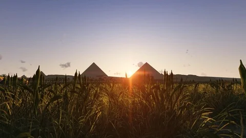 Ancient Egypt Pyramids Stock Footage 81335760