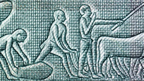 Ancient Egypt wall relief describing daily activities on Egypt 5 pound tracking Stock Footage 150331018