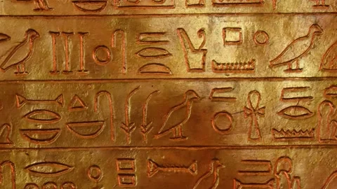 Ancient egyptian hieroglyphics Stock Footage 205526433