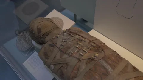 Ancient Egyptian Mummy On Display In The British Museum In London Stock Footage 154156133