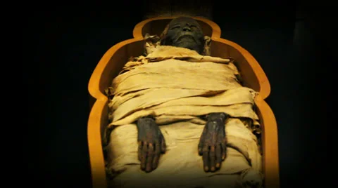 Ancient Egyptian mummy Stock Footage 34270817