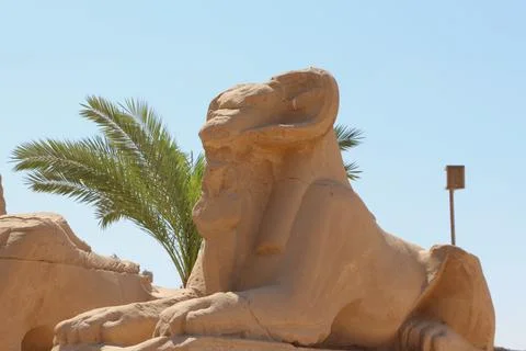 Ancient Egyptian Ram-Headed Sphinx Statue Stock Photos