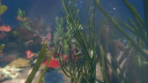 Ancient fishes race in the Devonian ocean Vidéo 244882687