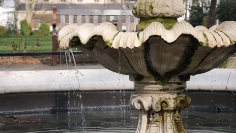 Ancient fountain in the park. Stock Footage 73845946