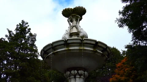 An ancient fountain in the park. Stock Footage 88122231
