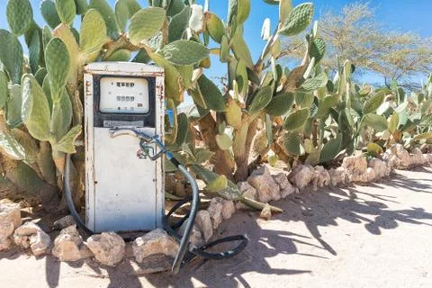 Ancient fuel pump in Namibia desert with cactus Stock Photos