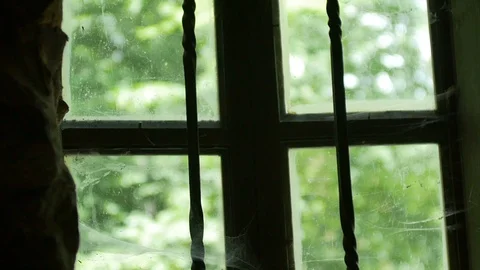 Ancient Glass Window with Spider Web Stock Footage 92973228