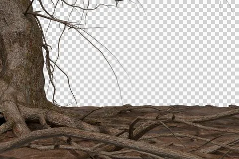 Ancient, gnarled tree trunk with massive, exposed roots dominates Stock Illustration
