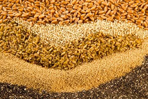 Ancient Grains 스톡 사진
