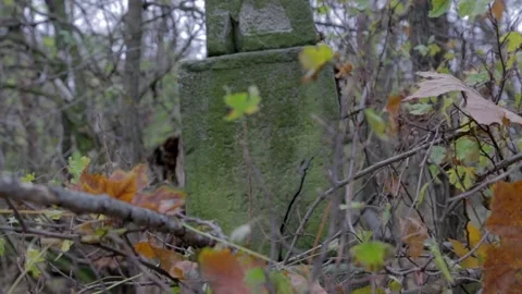 Ancient grave Stock Footage 227740891