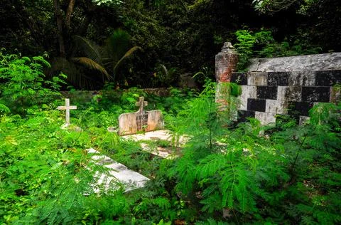 Ancient graveyard in the forest Stock Photos