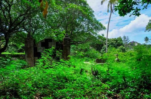 Ancient graveyard in the forest Stock Photos