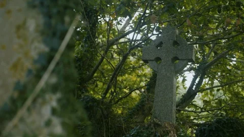 Ancient Headstone Stock Footage 285396294