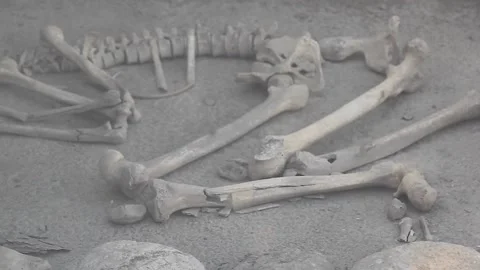 Ancient Hittite civilization items exhibited in the museum. Stock Footage 165363847