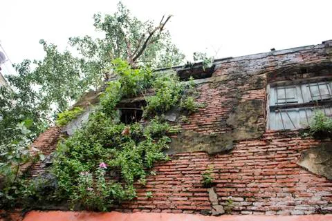 Ancient house 库存照片