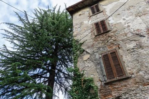 Ancient house with tree Stock Photos