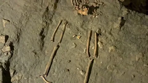 Ancient human bones on display in Dragon's Den at Wawel Castle Stock Footage 333318658