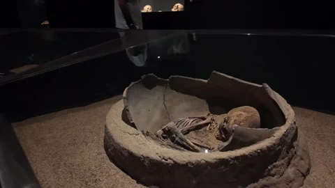 Ancient Human Burial Skeleton Displayed Inside Clay Urn At Sao Raimundo Nonato Stock Footage 346193385