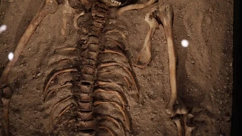 Ancient human skeleton remains partially uncovered in a sand-filled archaeologic Stock Footage 289637109