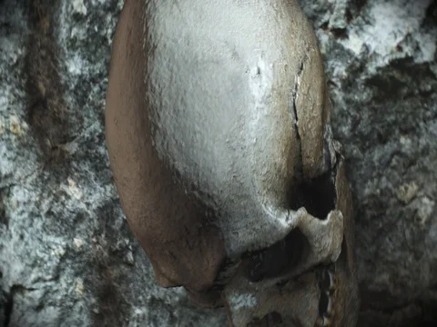 Ancient human skull. Apocalypse concept. Super realistic 4k animation. Stock Footage 80673341
