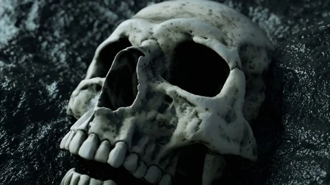 Ancient human skull. Apocalypse concept.realistic 4k animation Stock Footage