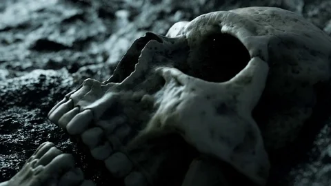 Ancient human skull. Apocalypse concept.realistic 4k animation 動画素材 70639729