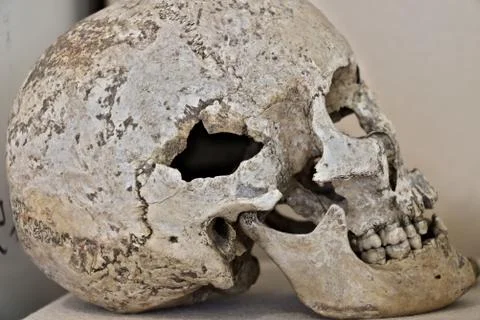 Ancient human skull. Bones of an ancient Roman skull. Stock Photos