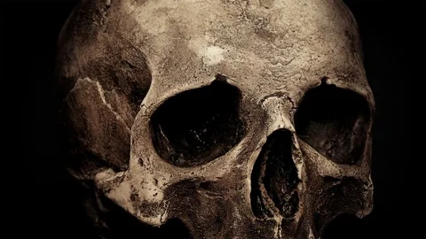 Ancient Human Skull Rotating Closeup Loop Stock Footage