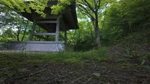 Ancient Japanese Temple Bell Tower with Green Moss 4K - Nomiyama Fukuoka Stock Footage 336532589