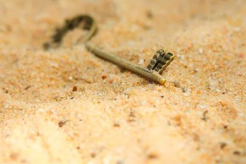 Ancient keys. Stock Photos