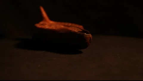 Ancient Lamp 3 Video stock 8970454