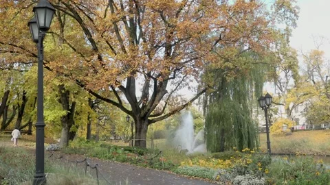 Ancient lantern and large tree by small fountain in park Stock Footage 146718246