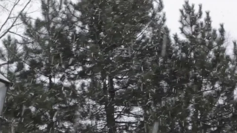 Ancient lantern in the park, snowstorm sweeps. Video stock 72935044
