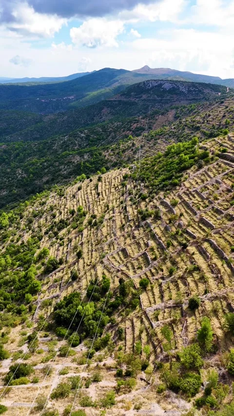Ancient lavender fields terraces on hvar island, croatia Video stock 336352111