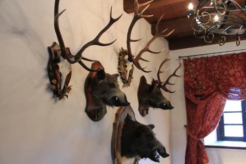 Ancient light. Stock Photos