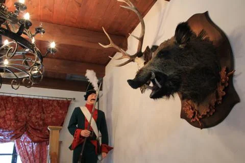 Ancient light. Stock Photos