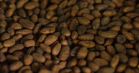 Ancient manual processing and roasting of coffee beans  Stock Footage 115118227