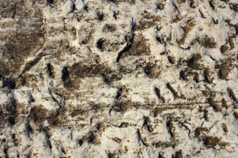 Ancient marble tectured background Foto stock