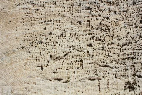 Ancient marble tectured background Stock Photos