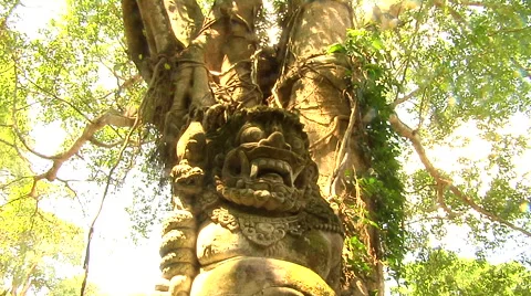 Ancient mask in the Forest in Bali Stock Footage 41379464