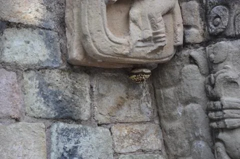 Ancient Maya Brick Mural Stock Photos