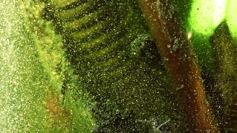 Ancient mechanism Stock Footage 122376190