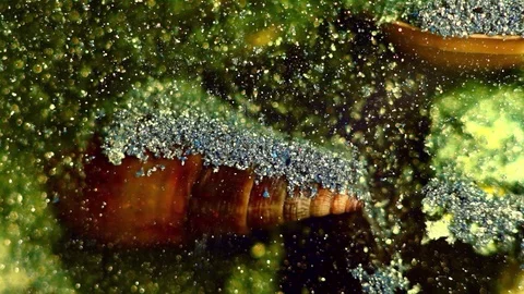 Ancient mechanism Stock Footage 122376407