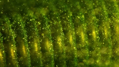 Ancient mechanism Stock Footage 122376424